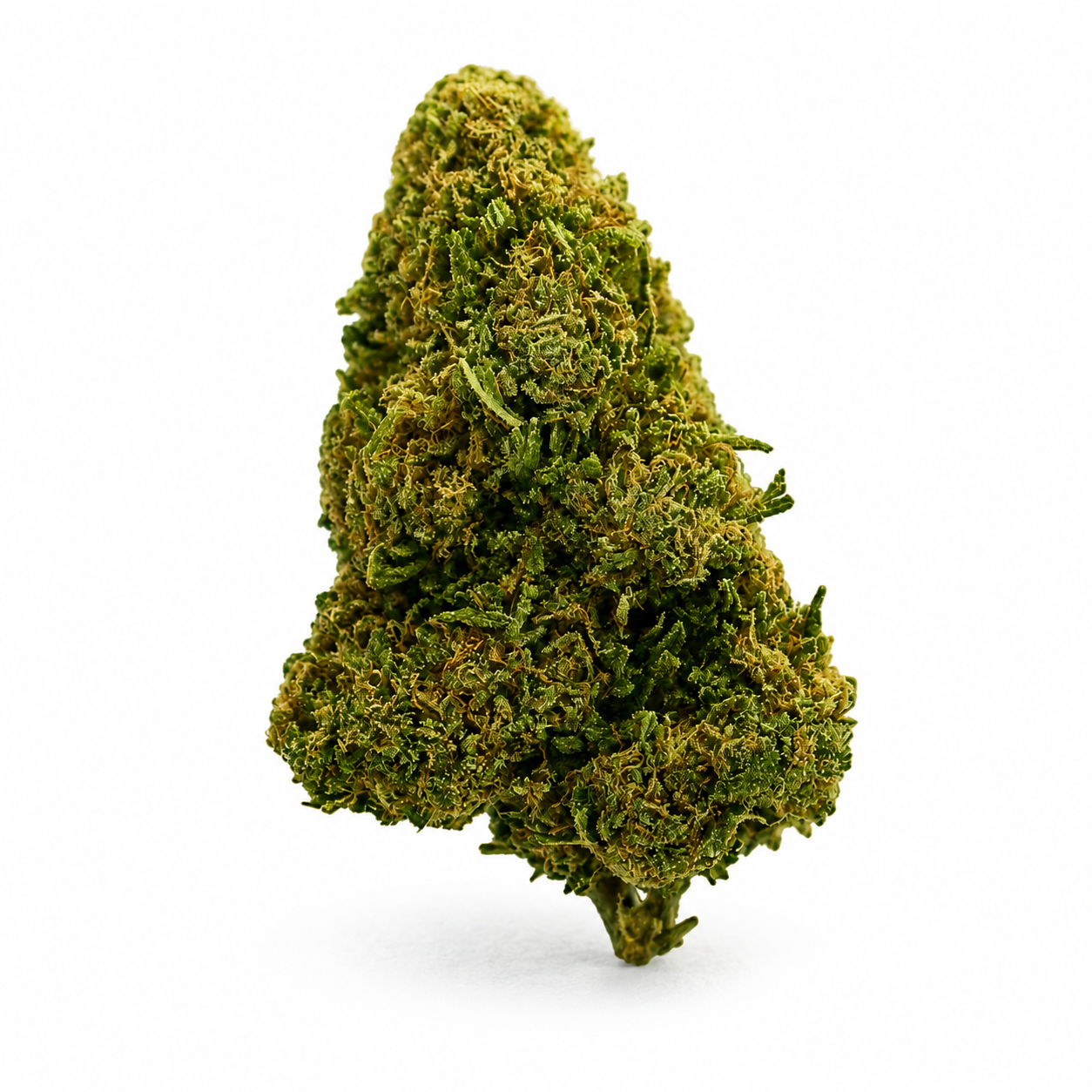 Amnesia White – Image 2